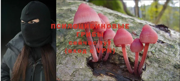 соль ск Лагань